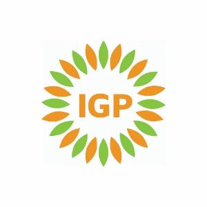 Logo PT IGP INTERNASIONAL Logo PT IGP INTERNASIONAL